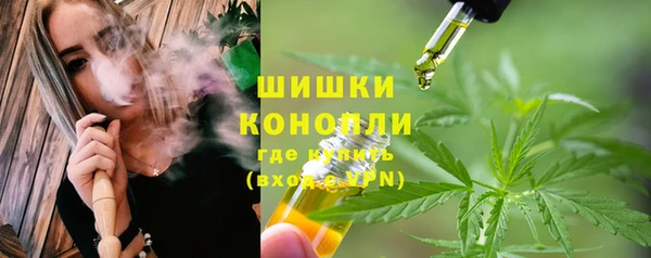 амф Горнозаводск