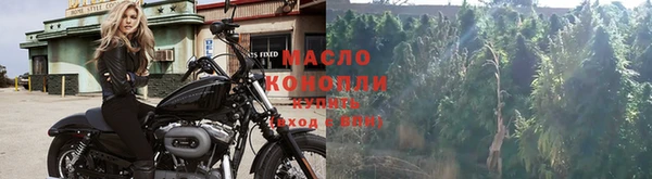 амф Горнозаводск