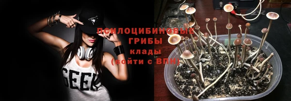 амф Горнозаводск