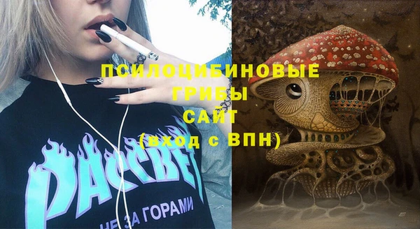 spice Горняк
