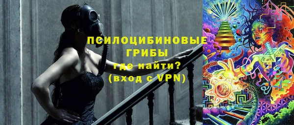 spice Горняк