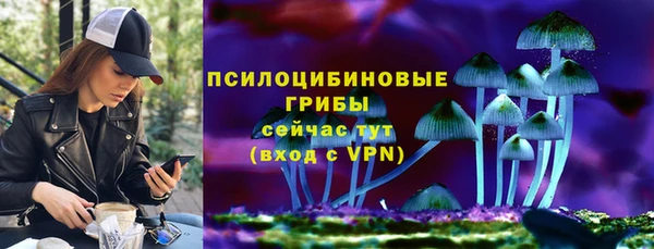 spice Горняк